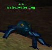 Clearwater Frosch